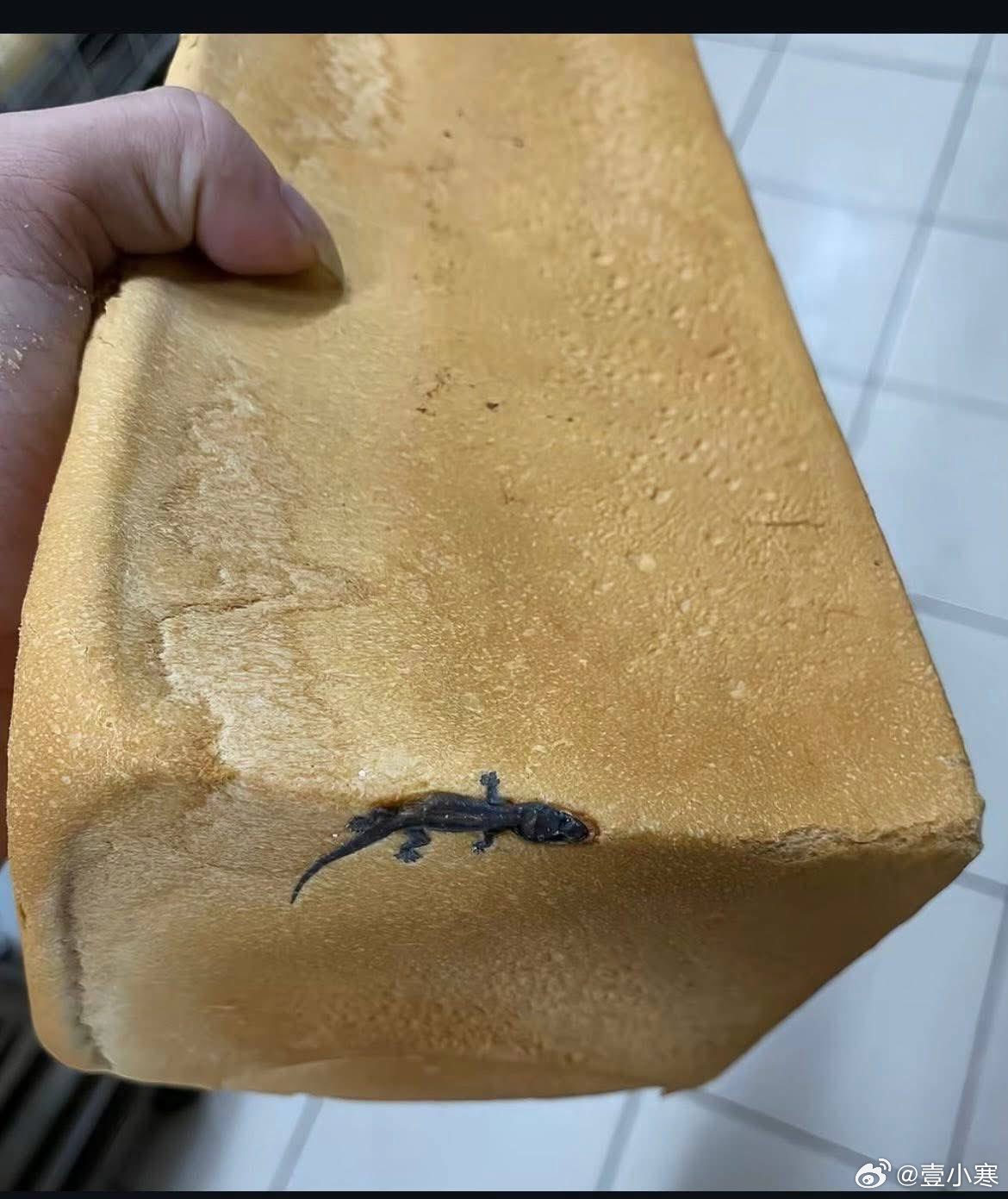 时尚品牌壁虎面包？？？ ​​​