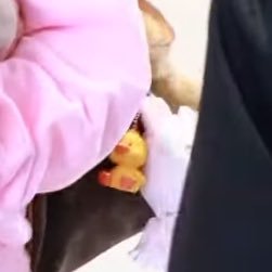 哎一古被这个小Lisa萌了一大跳🐥😚 