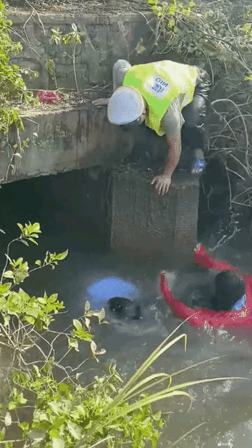 救溺水的人就要救这种要死的，轻轻松松拉上来，活蹦乱跳的先让他喝饱了不怎么动再救，