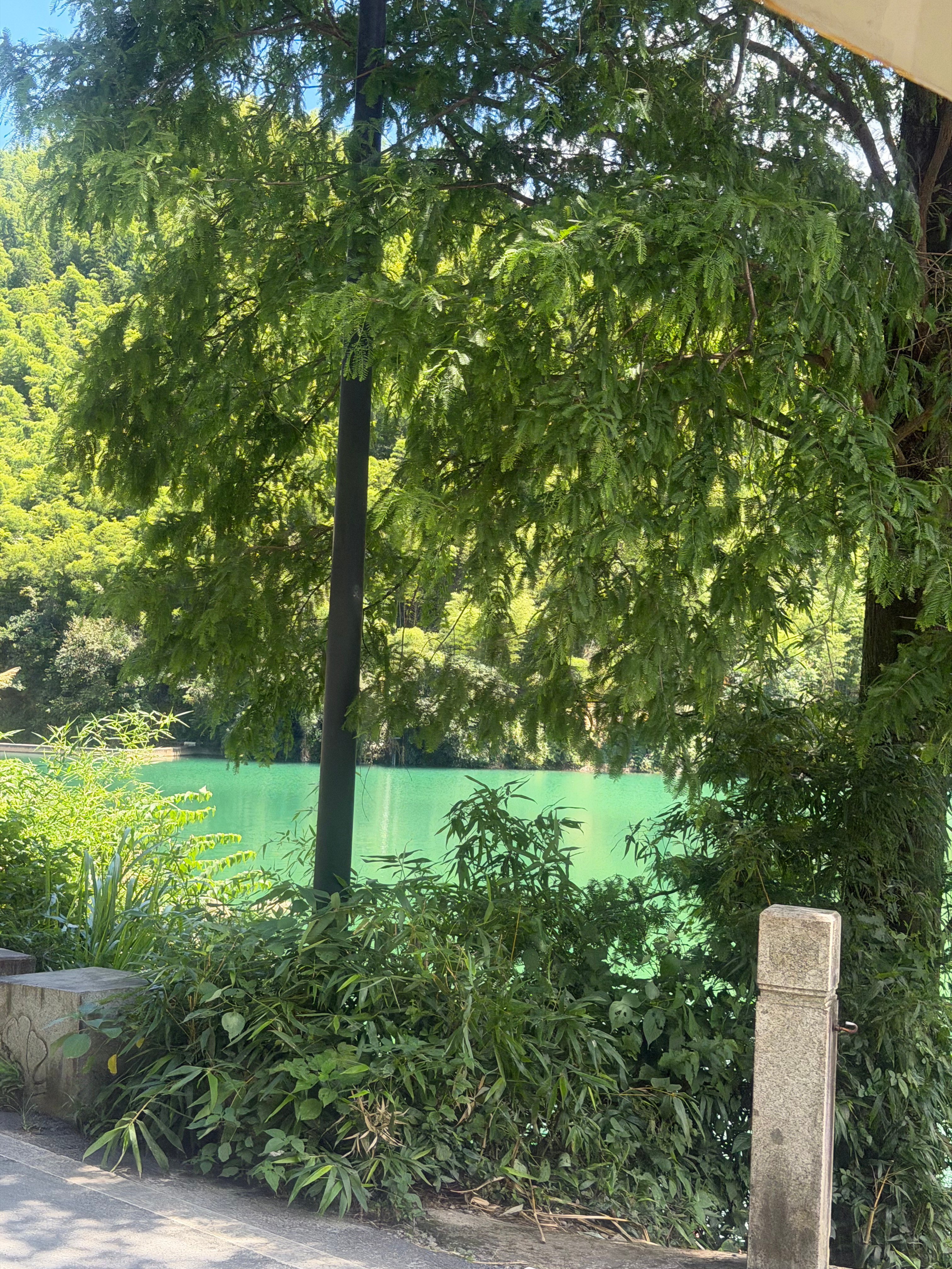 充满生命力的一天🫧到巴厘岛了😼🪺🍹☀️🏝️🍃🌿瀑布咖啡安吉巴厘岛 