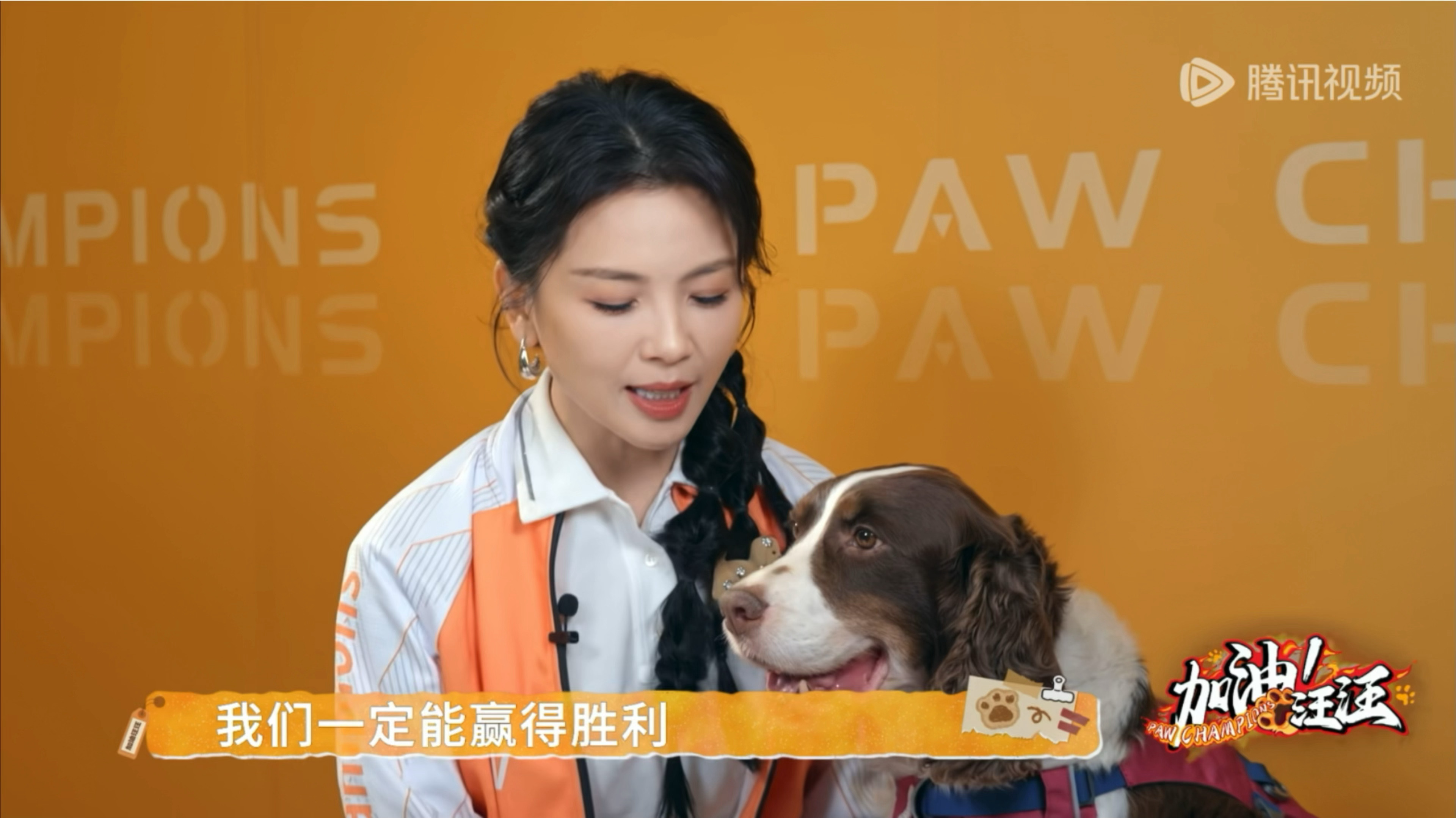麻麻说的对刘涛加油汪汪