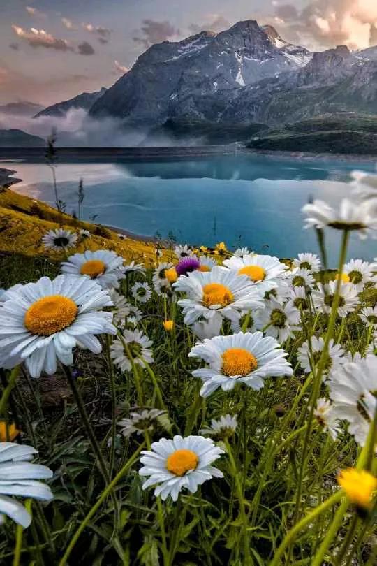 🎈²⁰²⁴/₁₀.₀₈ℒℴѵℯ𓂃ᐝ🍀ᯓ₊⁺ *
 ﹊﹊﹊﹊﹊﹊﹊﹊﹊﹊﹊﹊