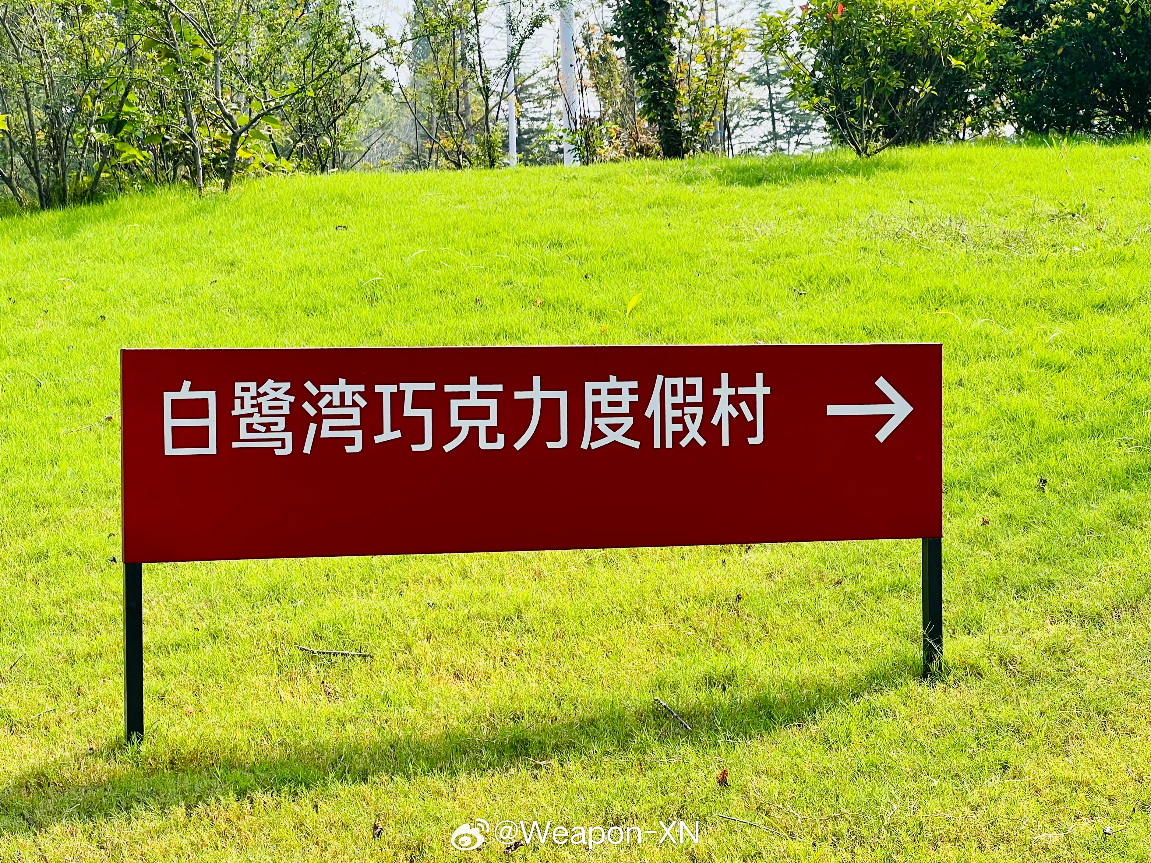 #山东力量铸新程#走在白鹭湾小镇中，蓝天白云下，湖水波光粼粼，仔细远望，湖边还能