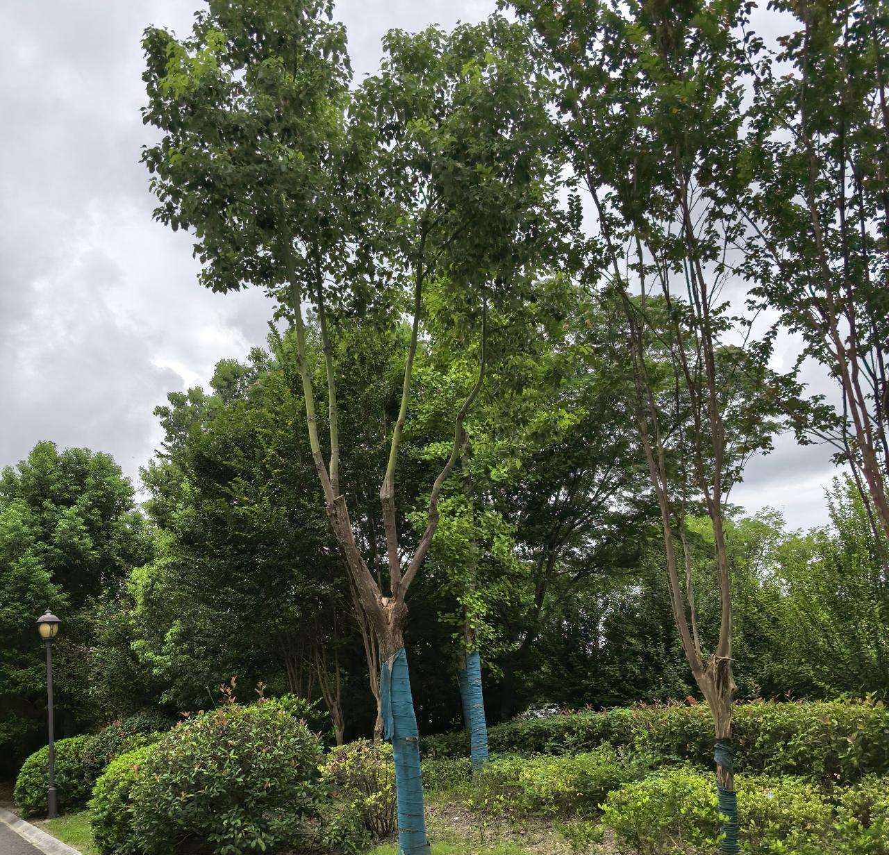 你们觉得消防员辛苦吗 当然辛苦，而且危险。
之前刷到河南平顶山消防员训练时跳冰河
