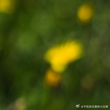 每日一善🌹阳光信用希望是美好的，也许是人间至善。--《肖申克的救赎》 