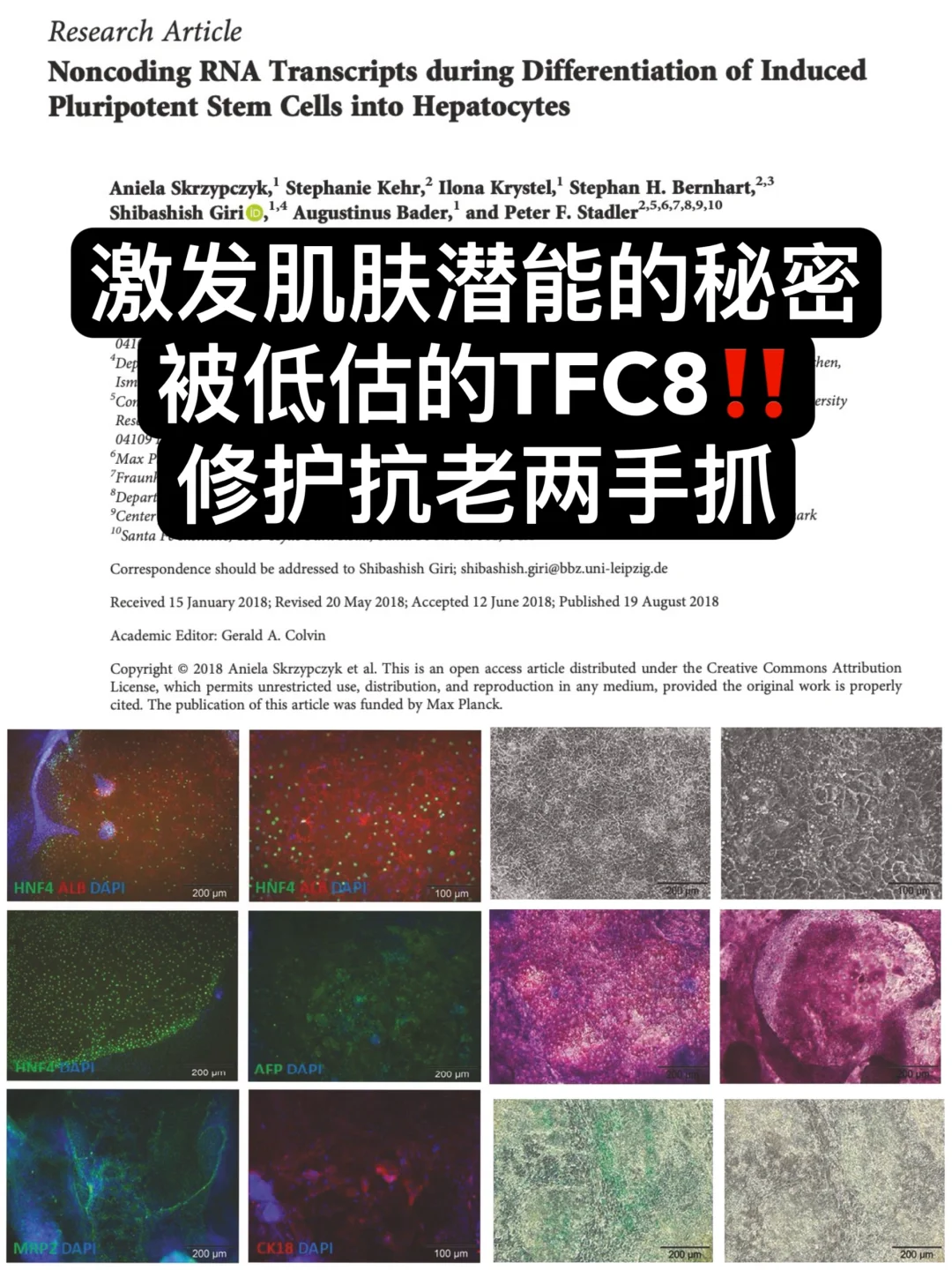 当我们谈抗衰老时，谈的究竟是什么？