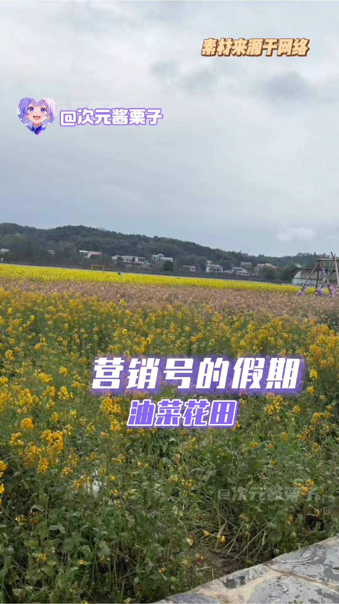 营销号假期