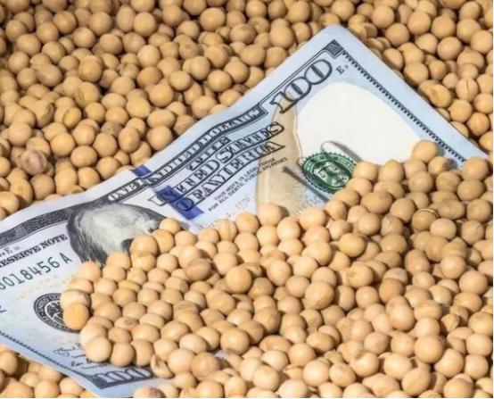 美国大豆为什么非要卖给中国？其实，站在美国的角度，三年不卖给中国大豆，扩大国内内