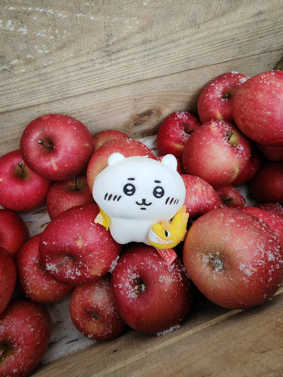 青森必吃！苹果🍎