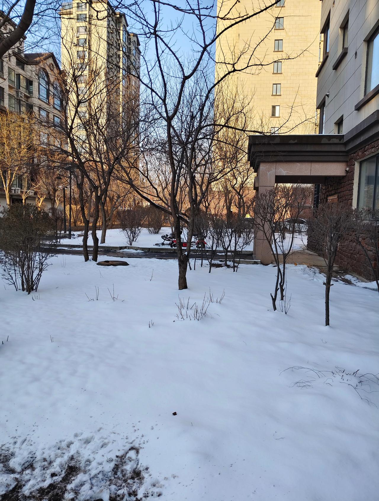 昨晚下的雨夹雪生活手记生活手记[超话] ​​​