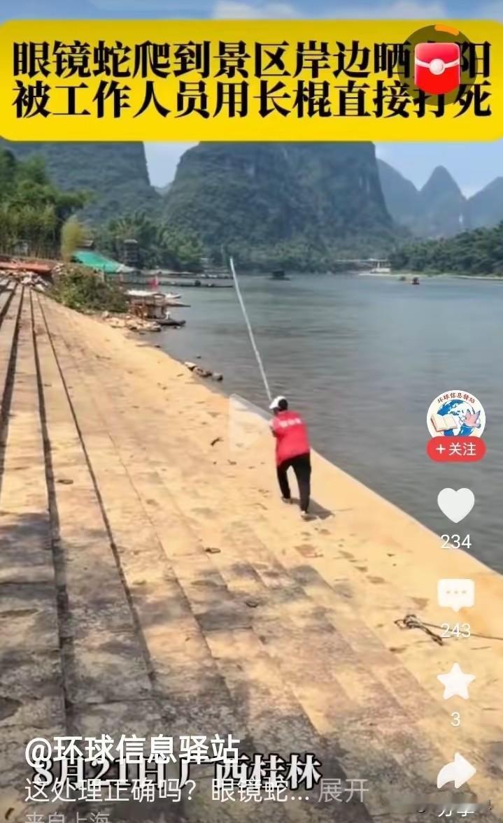 一条眼镜蛇爬到景区的岸边晒太阳，被工作人员直接用棍子打死。然后，把蛇的尸体挑走了