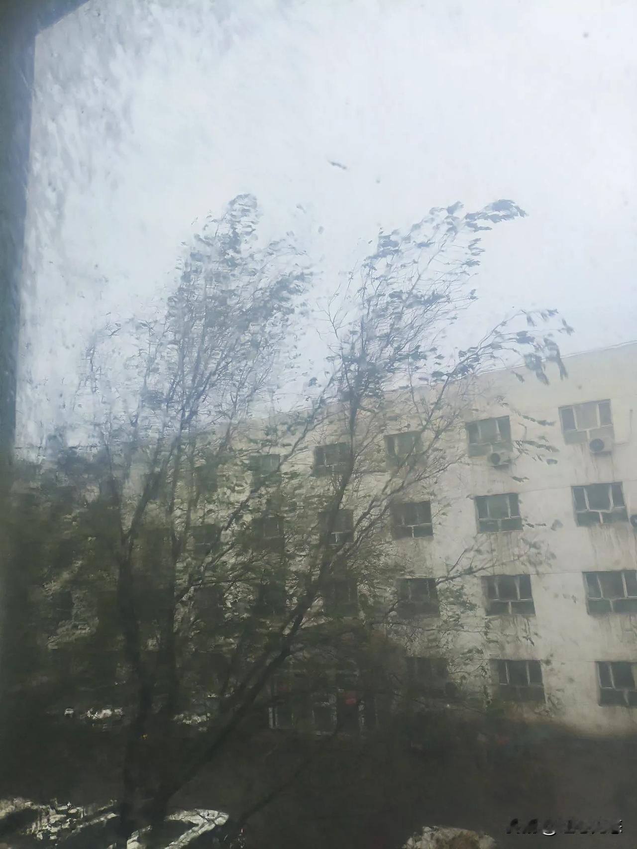 昨天报的今天有大雨。我还有点怀疑。

今早一看，稀稀拉拉掉几个雨点儿，跟闹着玩儿