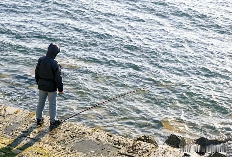 总觉得“随手拍”的意义，从来不是拍得多好看，而是留住那些稍纵即逝的瞬间。
 
今