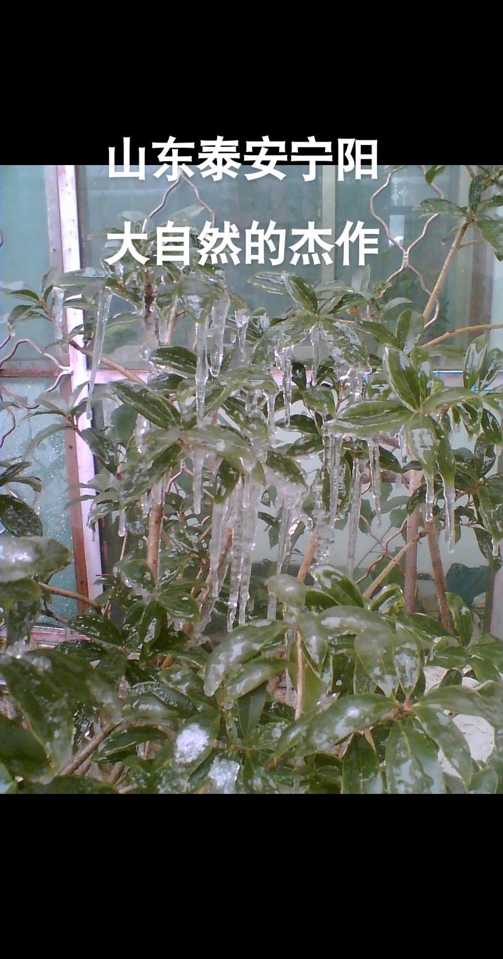 山东宁阳老家故乡风景