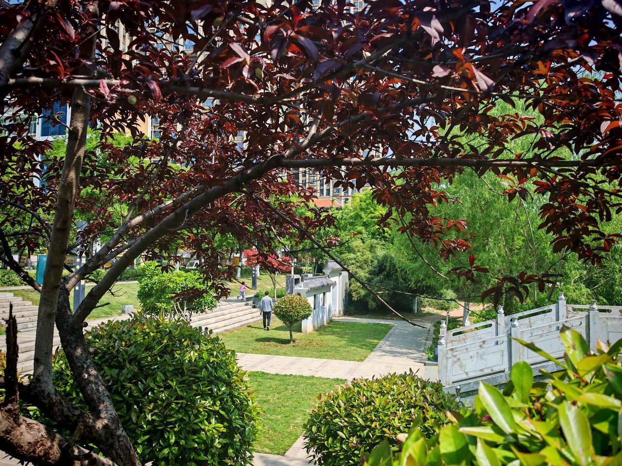 阳光明媚的一天