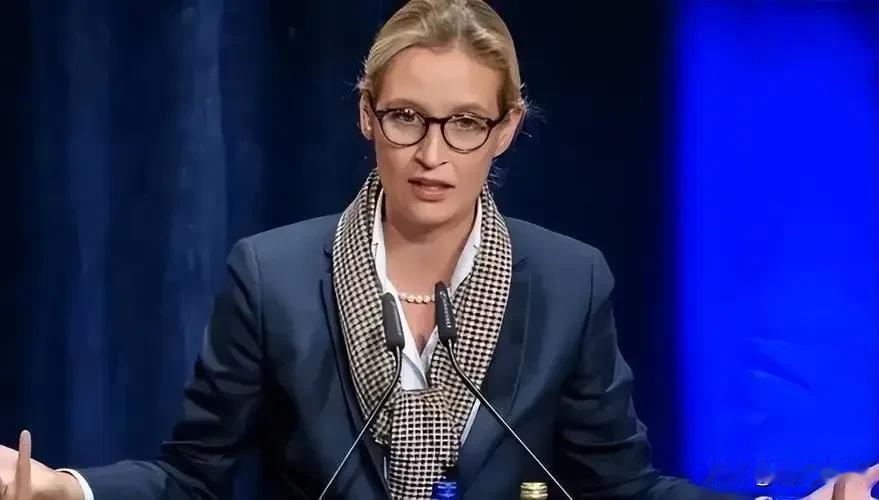 说说德国民众为什么倾向魏德尔？西方国家的民主里有一个长期争论的命题，民意情绪≠长