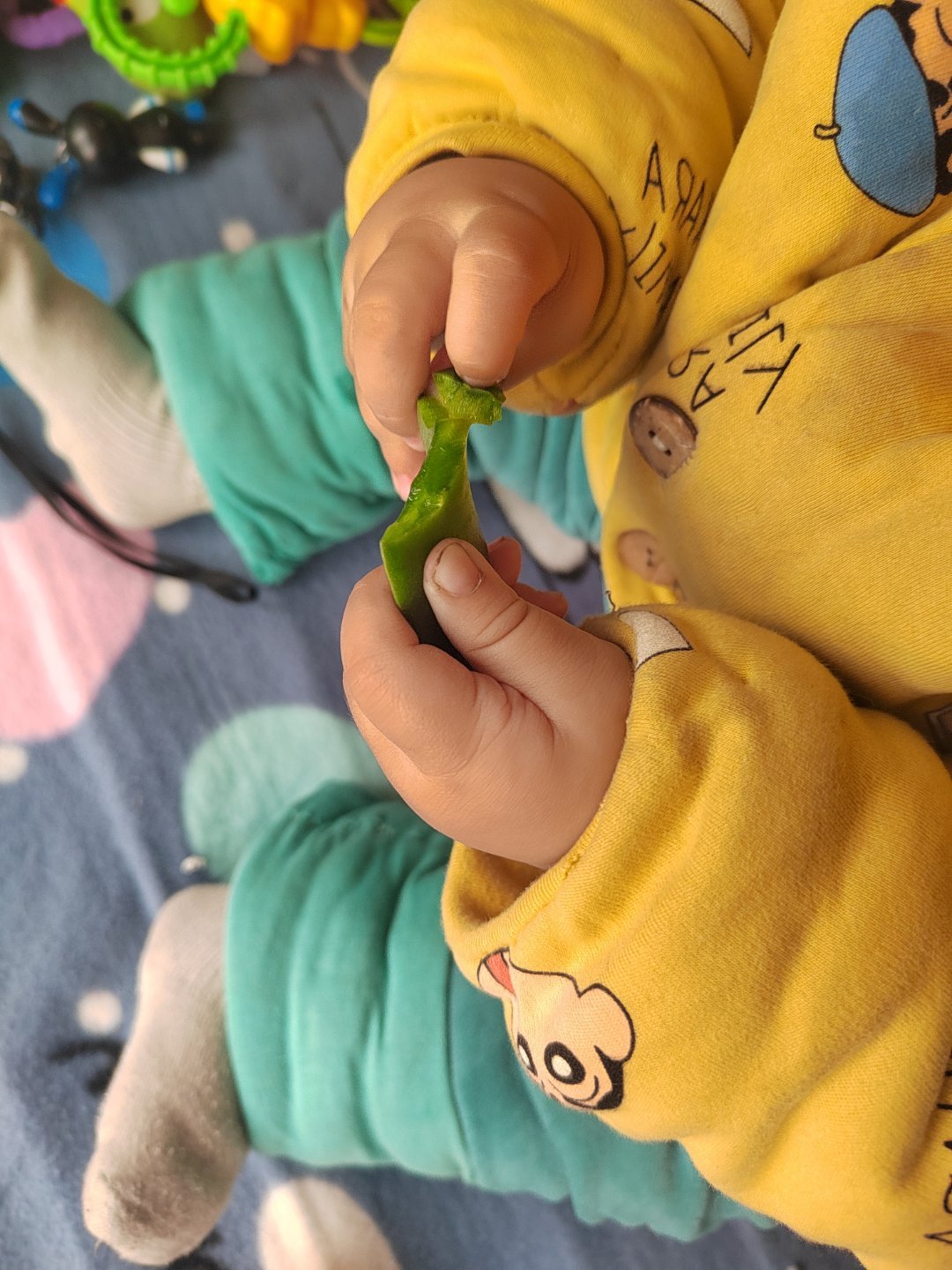 九个多月了终于能坐稳了冬天裹得像个小团子，衣服穿太厚总是坐不稳脱了厚衣服立马灵活