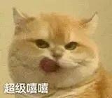 王一博的学习能力，是天赋打底、专注驱动、执行力拉满，几乎学什么都能快速从“小白”