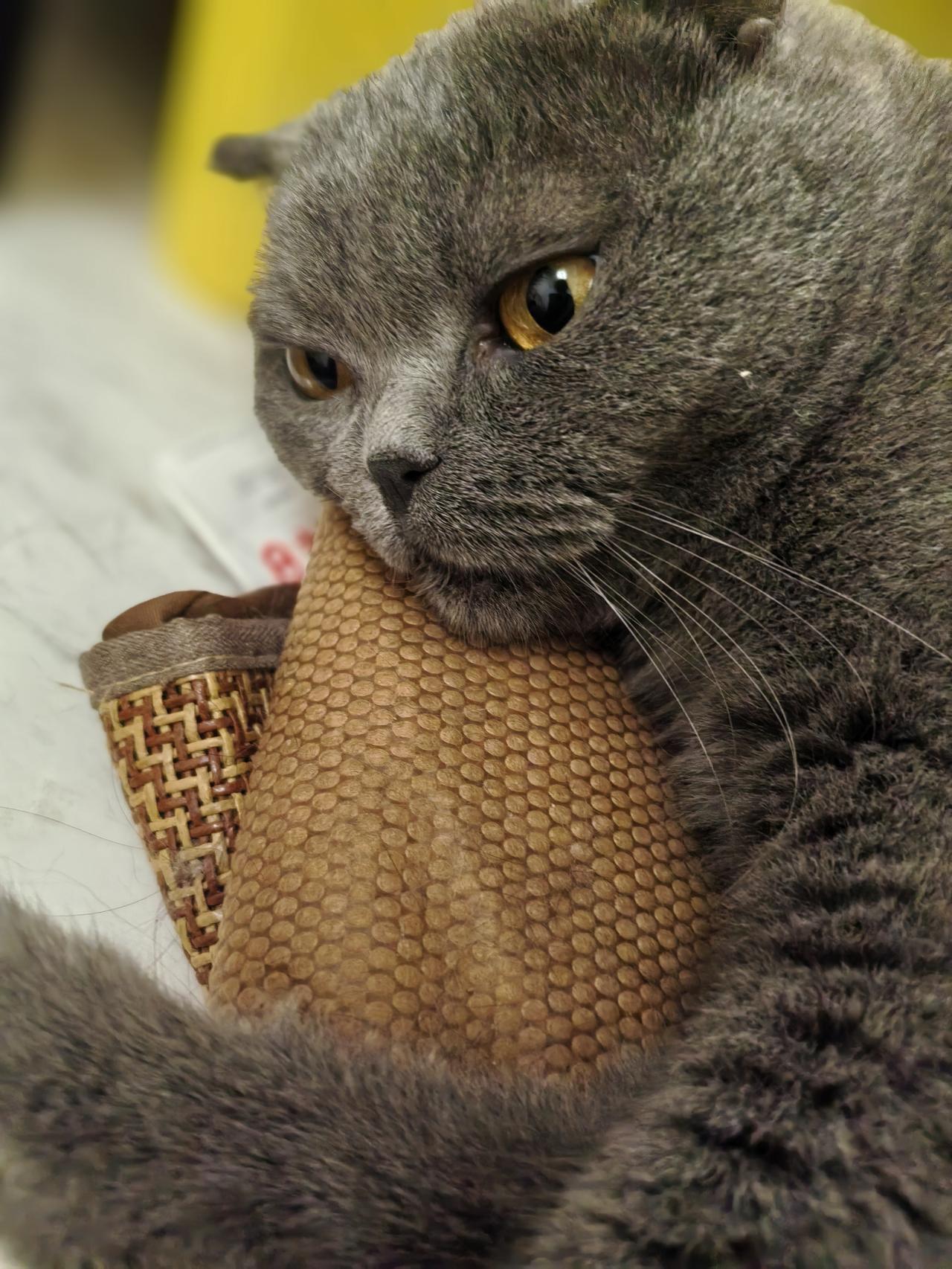 我焦虑了，焦虑50岁要退休了
上个月申请退休，这个月还在初审，不知4月能否领到退