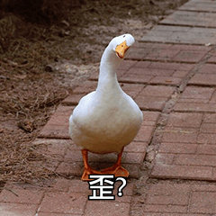 阿姨称鹅腿已断货15年有余鹅腿断货了？把鸭腿这样卖，真的好嘛？利益冲昏头了吧？不