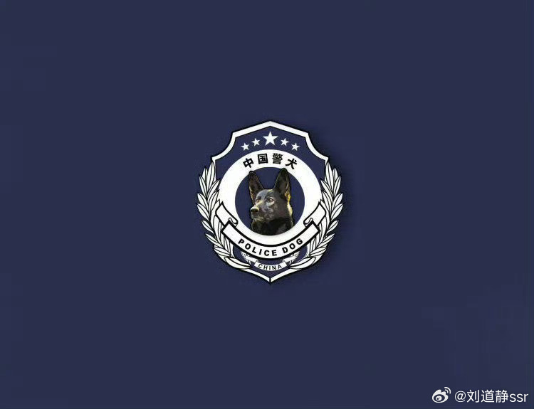 中国警犬logo形象犬是它这只狗狗看着太帅了！中国的警犬就是帅✌🏻  ​​​