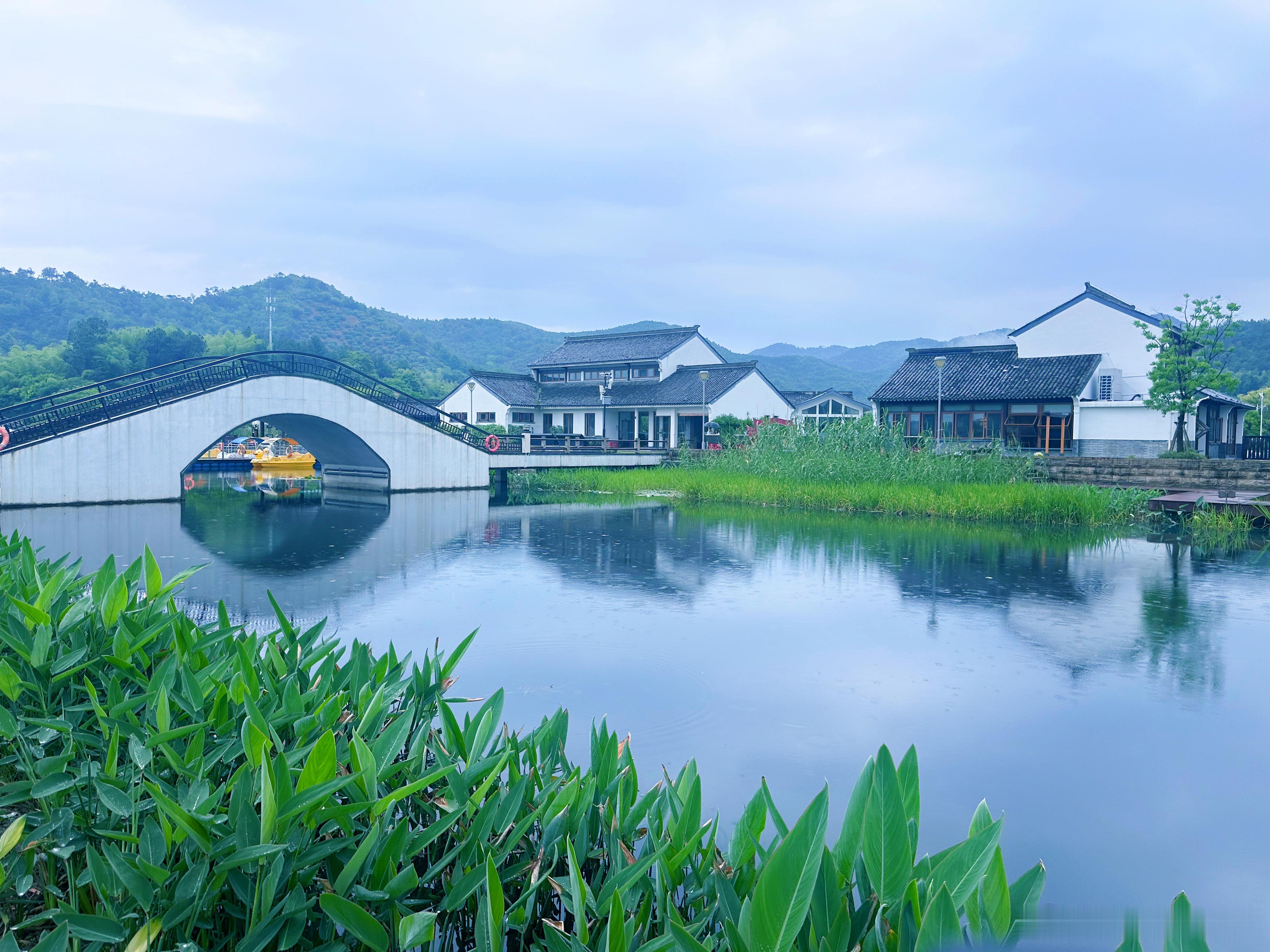 【东钱湖风景名胜区｜下水湿地公园】偏爱雨中的江南，便总是挑雨天而行。雨中的下水湿