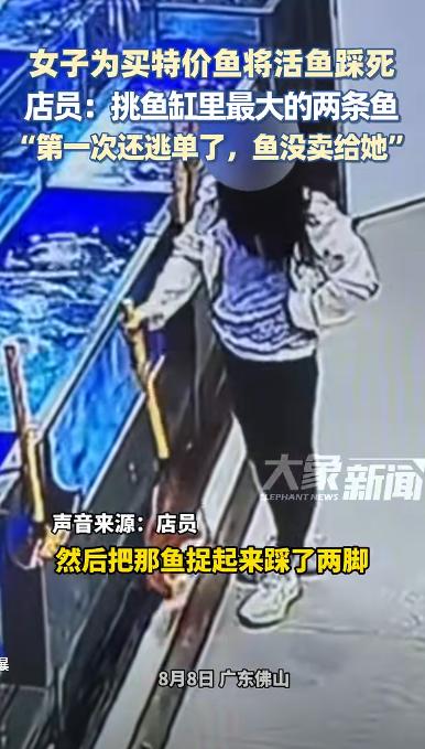 缺德缺冒烟了！广东佛山，一女子去超市买鱼，用渔网捞出来了两条大的，谁料，下一秒她