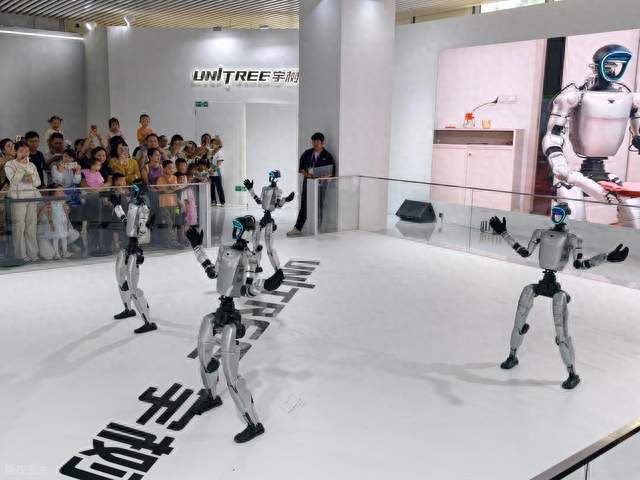 全球人形机器人收入榜前 5：优必选 + 智元 + 宇树 + 银河 + 乐聚 = 57.4%