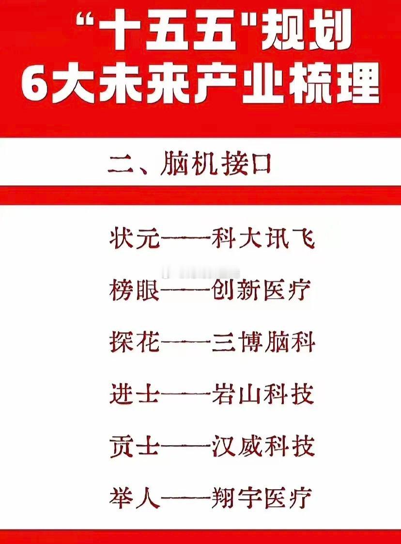 这是一份关于中国“十五五”规划中6大未来产业的梳理。每个产业都列出了6家代表性公
