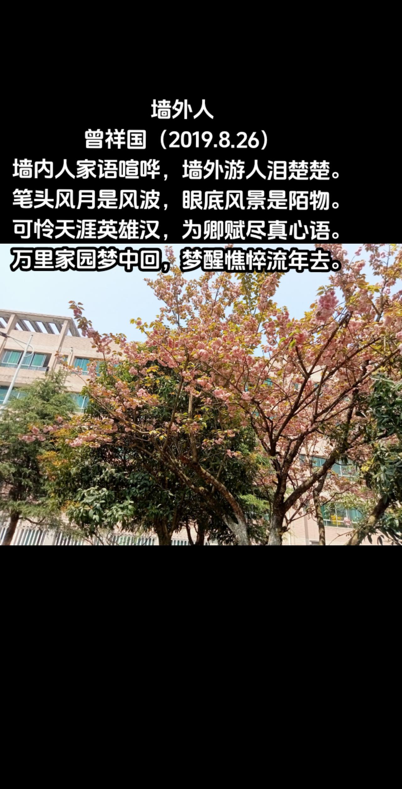墙外人