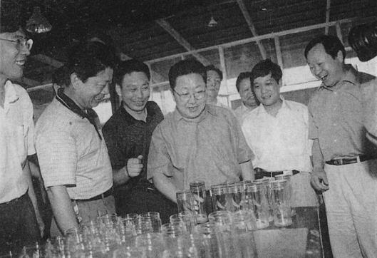 2002年6月6日，河南省委书记陈奎元(右三)到濮阳文留镇三力集团检查指导工作。