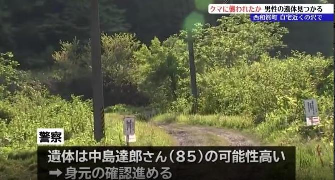 日本熊灾彻底失控！5 月连续两起致命熊袭，东京山区惊现半具遗体，死状凄惨！

5