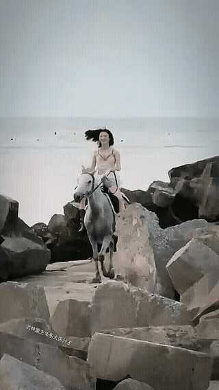海边还有马，这马看着就神骏。