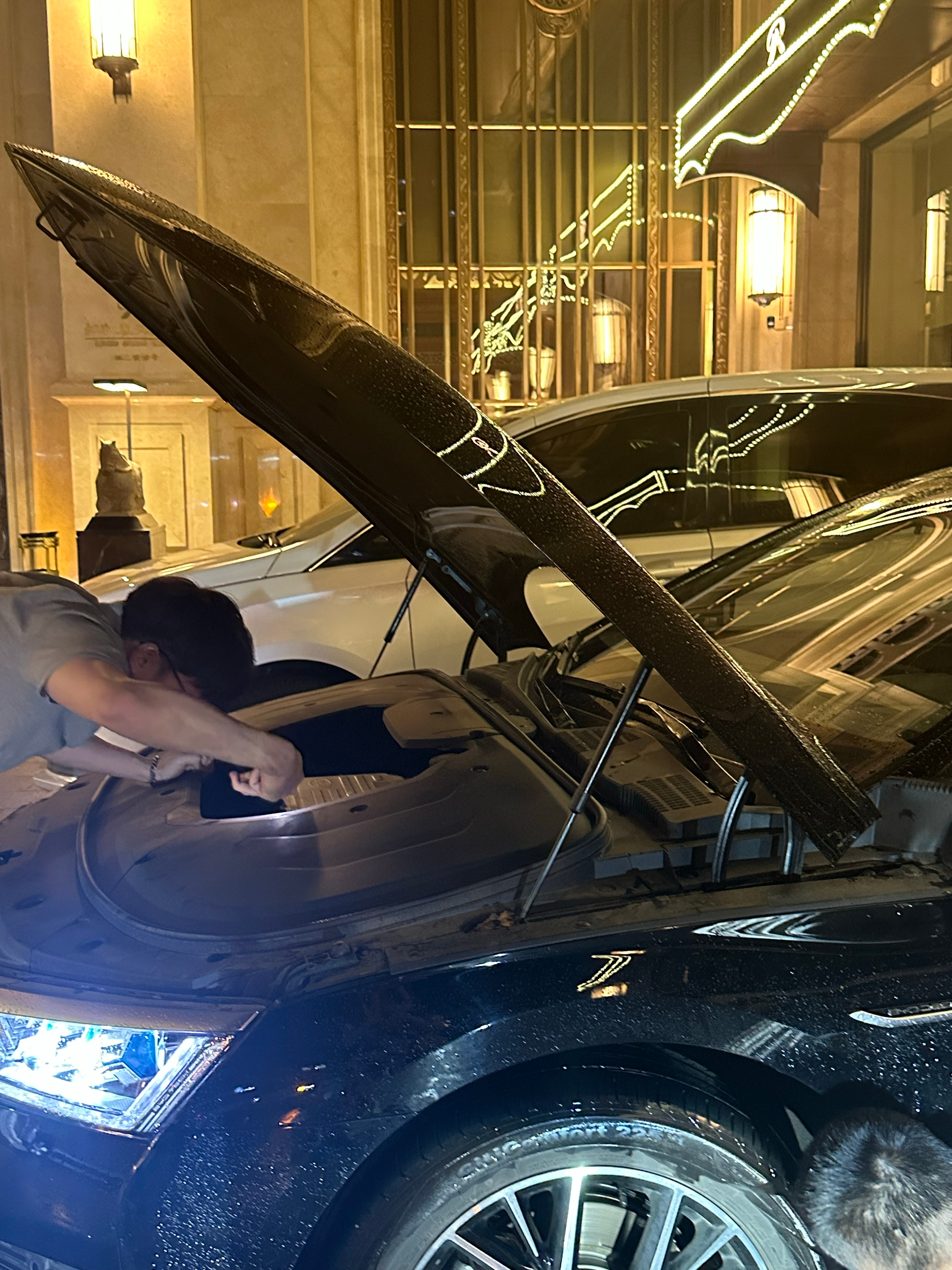 第一次遇到在车里进来了一只断断续续叫喊了三个小时的小猫 但是一直找不到最后凌晨去