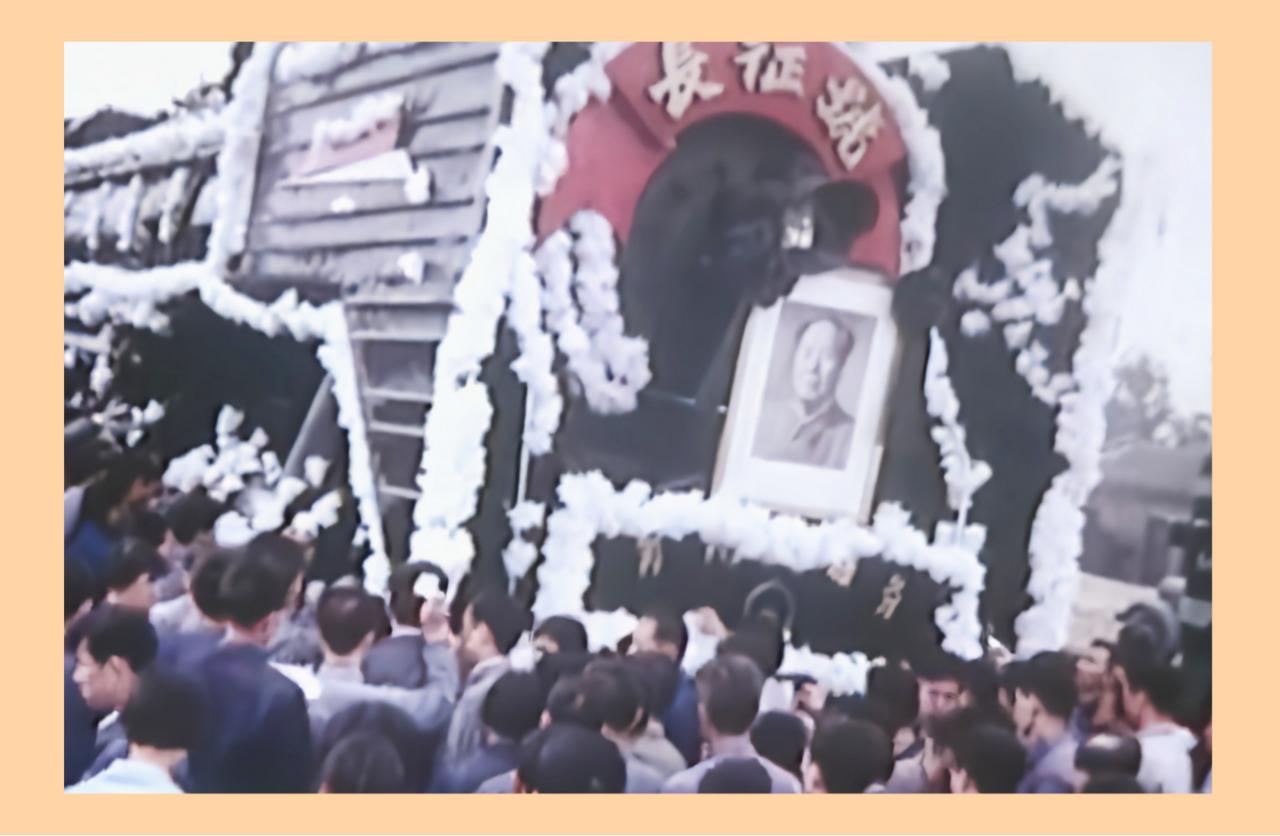 为什么他们对他爱得深沉❓
他们不说爱。
只说“主席走好”，
弯腰，
把秧苗插进正