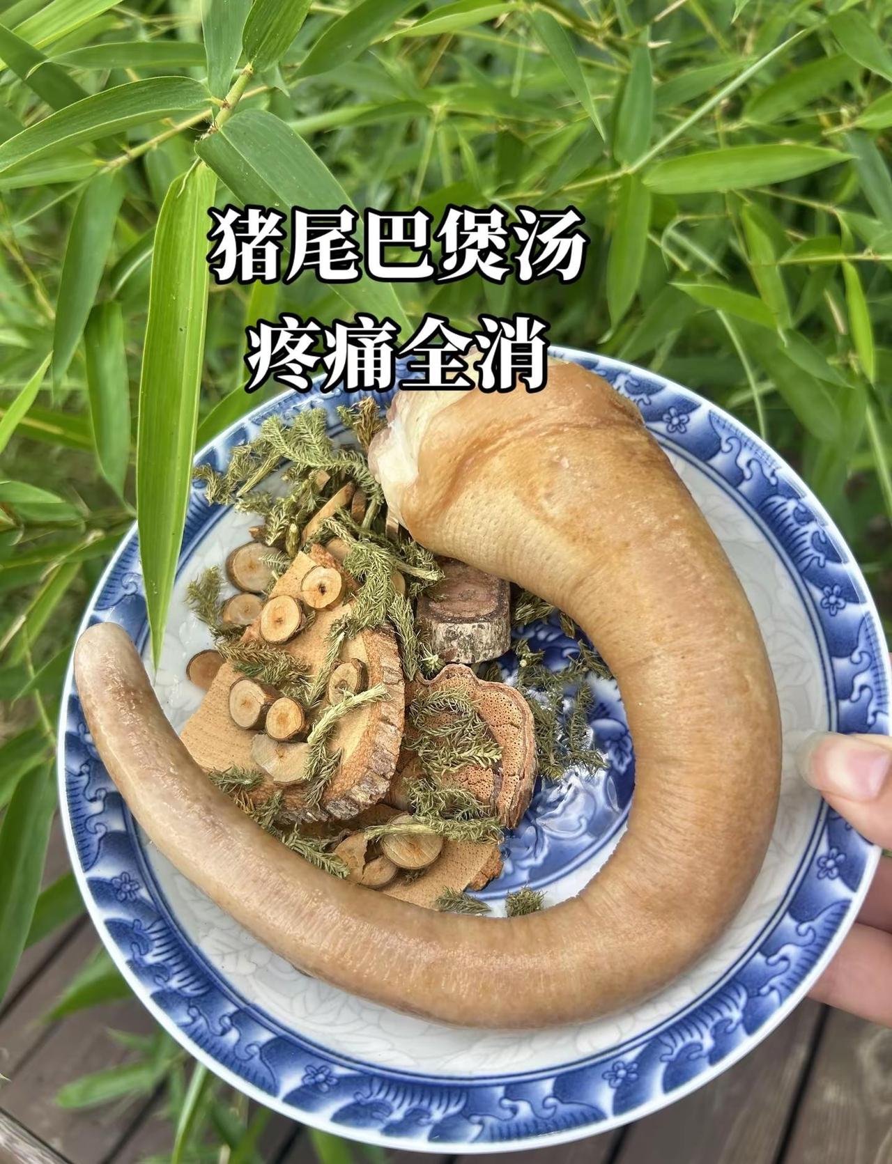 👏👏惊心动魄五局大战！！樊振东3-2险胜👍👍率萨尔布吕肯登顶欧冠乒俱决赛