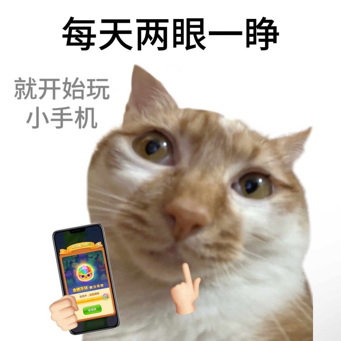 总感觉玩手机一定要是躺在床上的时候才是正式的玩手机[并不简单]白天充其量只能是假