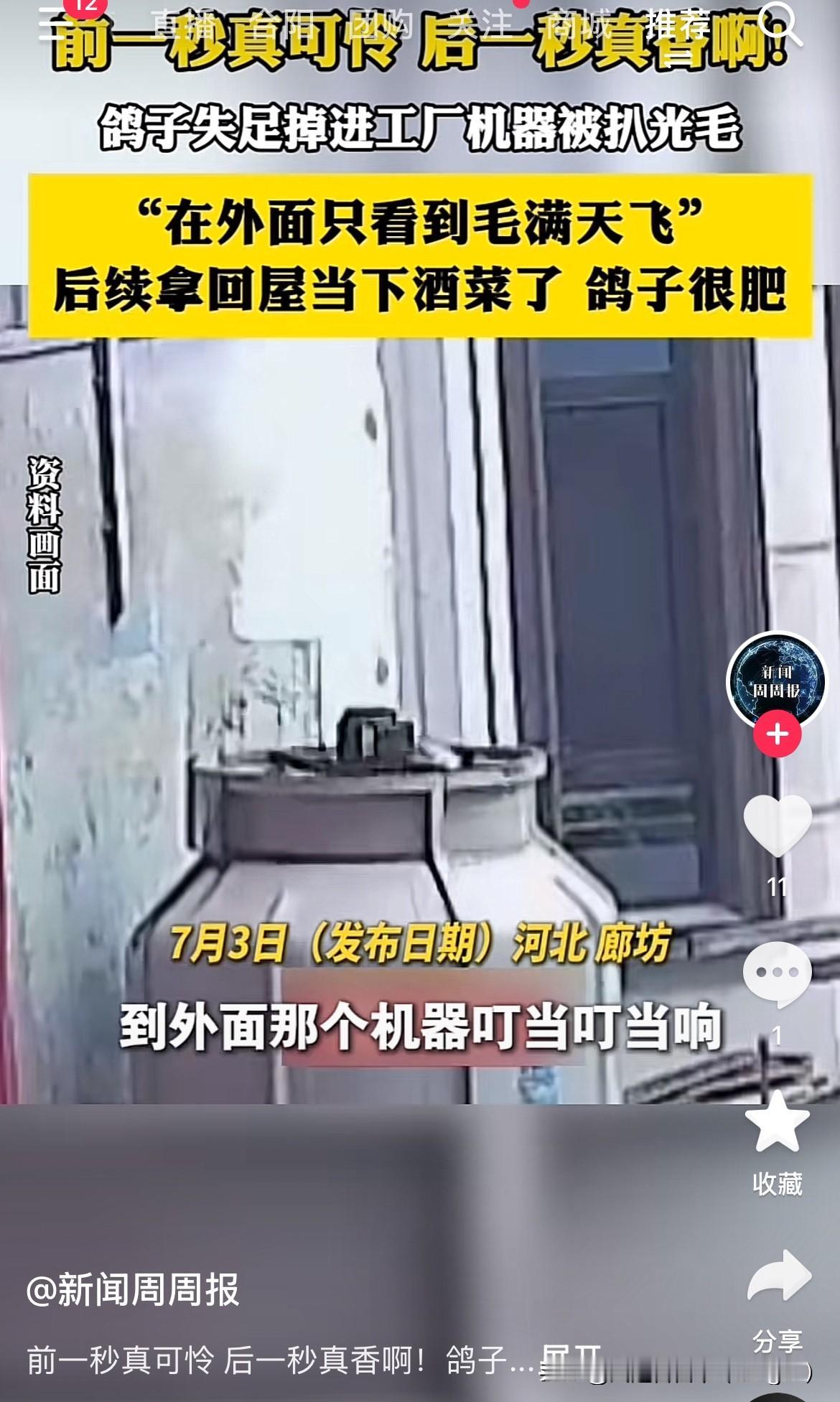 这鸽子想不开了把自己变成下酒菜了。
近日，河北廊坊一只鸽子飞着飞着突然失足掉进正