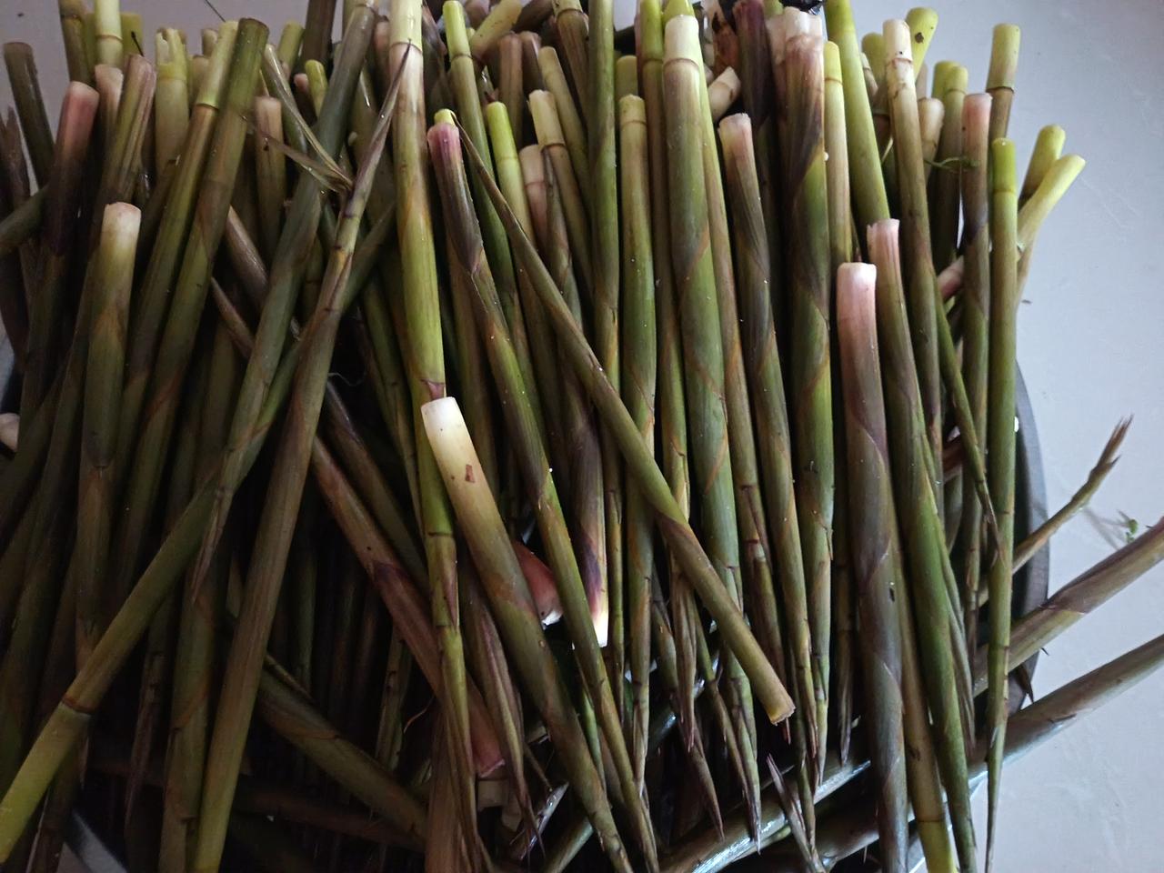 在父母眼中，无论自己多大了，都是孩子，父母去山上拔了一点小竹笋，打电话来是送点竹