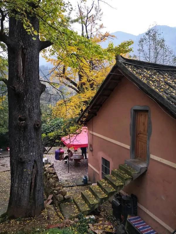 现在的建筑领域真是越来越卷，也越来越牛了！资源重构、材料科技这些词听起来就高大上