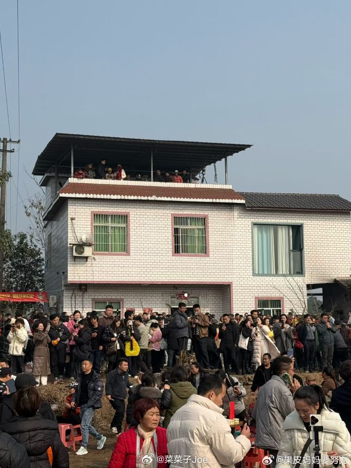 额…我不太懂…这年纪的是都没在农村待过么？呆呆家杀猪现场已限流合川文旅否认呆呆杀