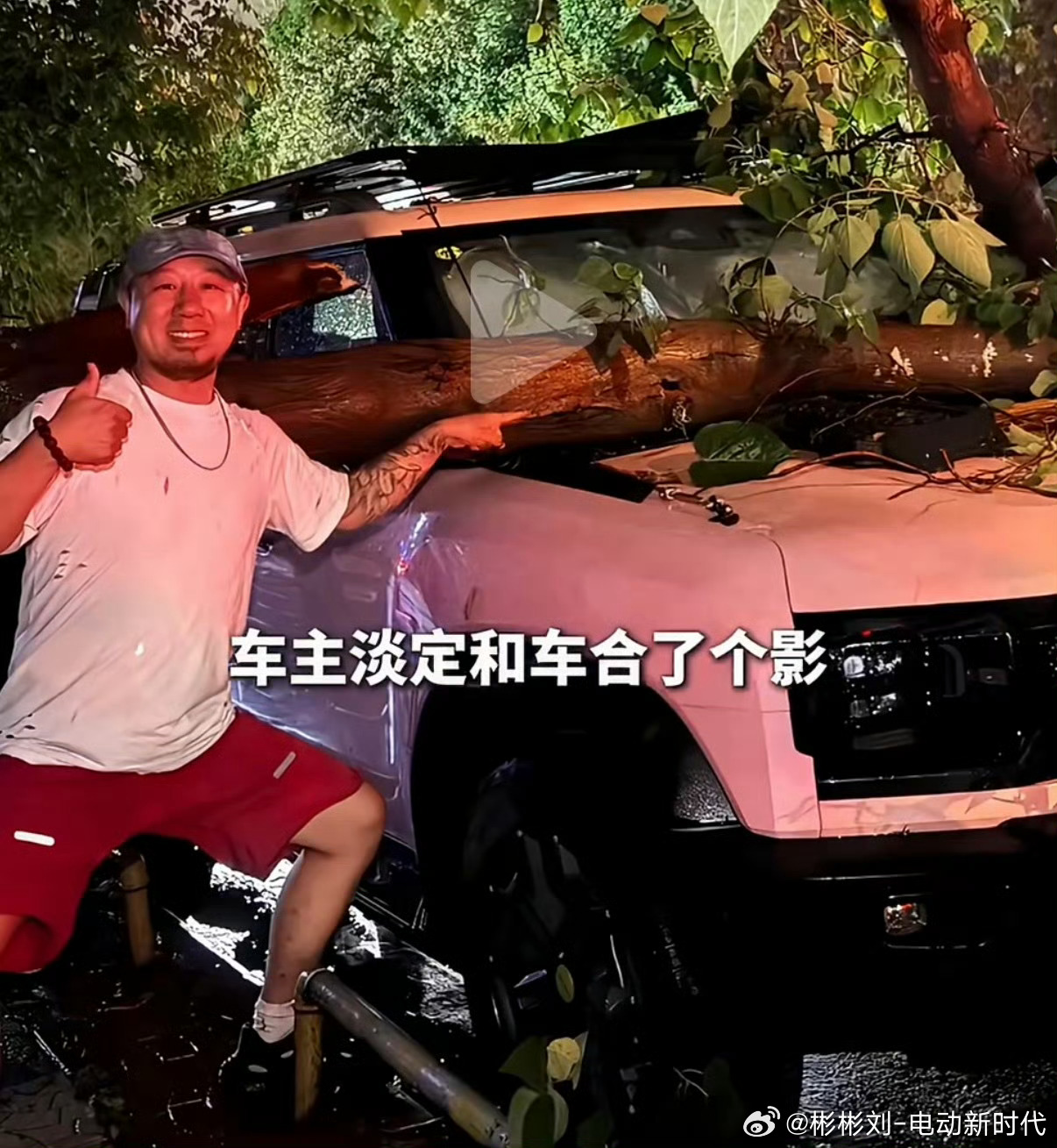 车辆被树砸中车主淡定合影刷到车主被大树砸车之后淡定合影的视频，采访一段话解开不少