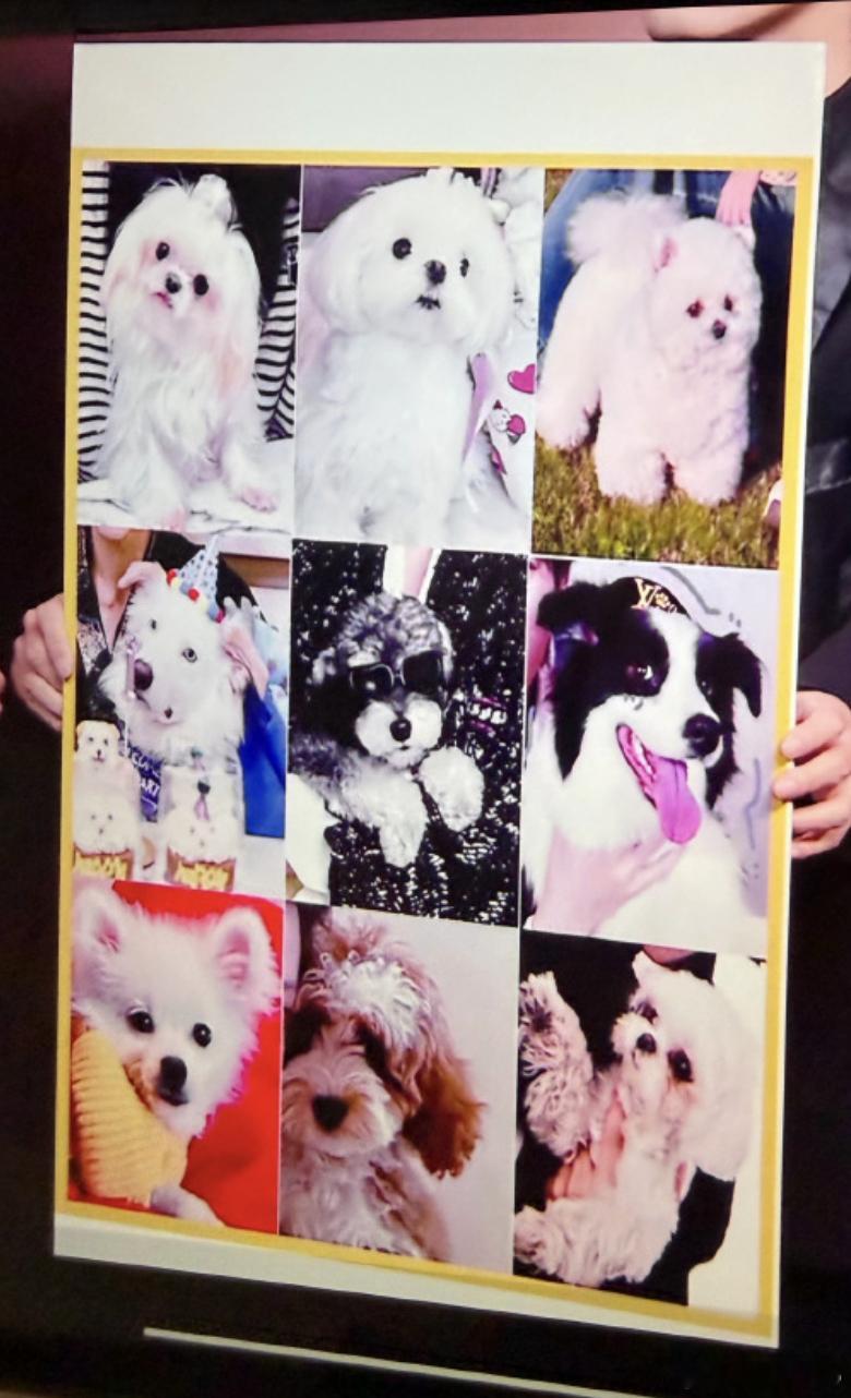 二月也对我很好，我主人都上微博之夜了，完全艳压四座大美女一个 