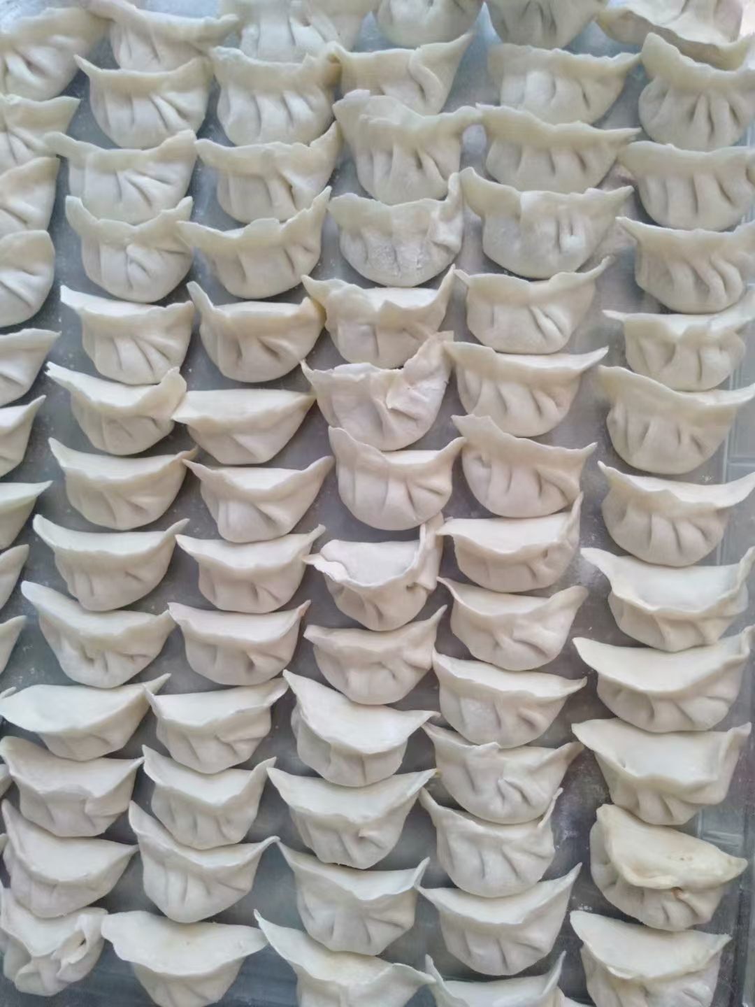 今天中午吃饺子，俩老太太说多包点冻起来，她们去潮汕玩的时候让我天天煮饺子吃，搞的