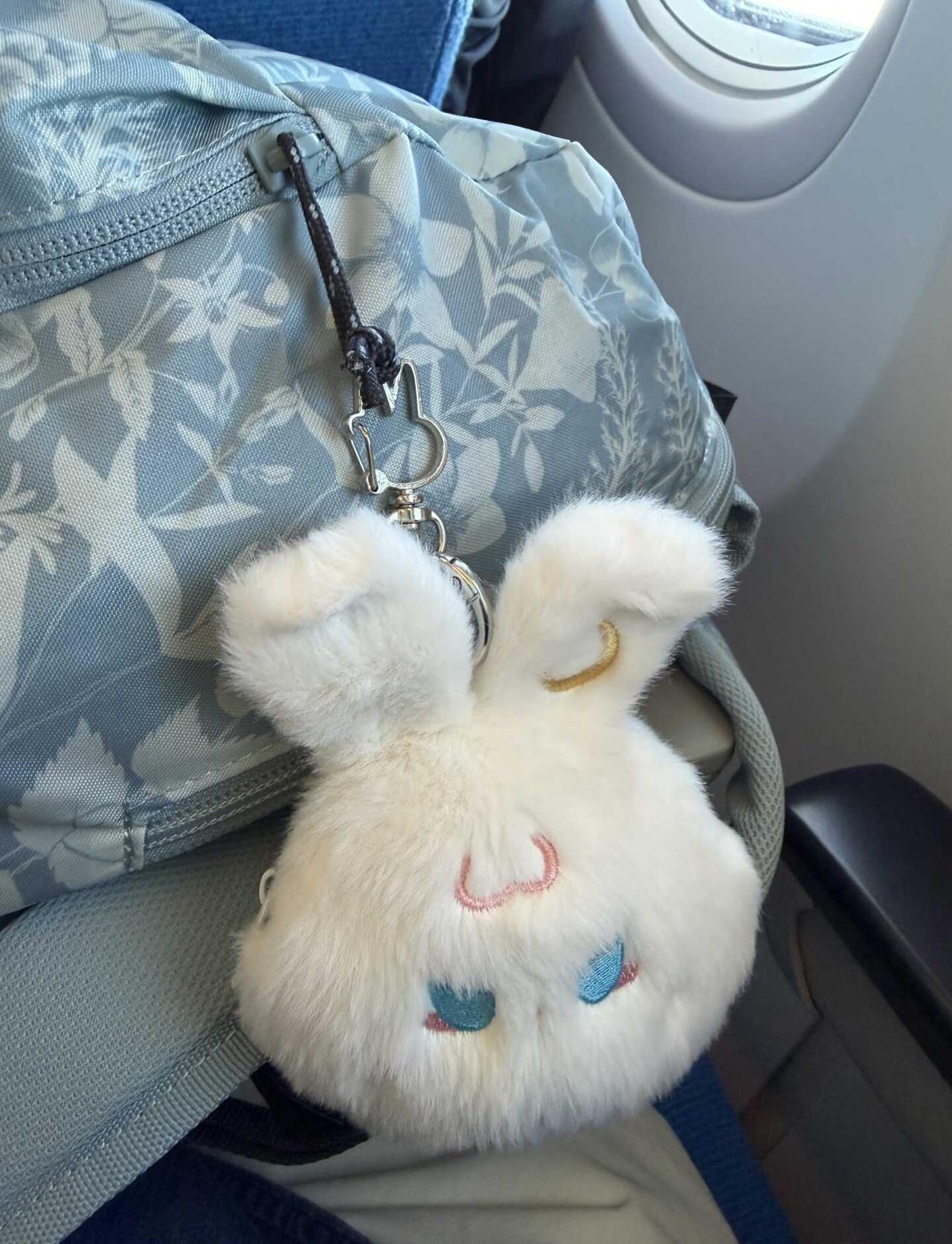 耳机包真好用
带着小兔耳机包坐飞机啦
耳机包 小挂件