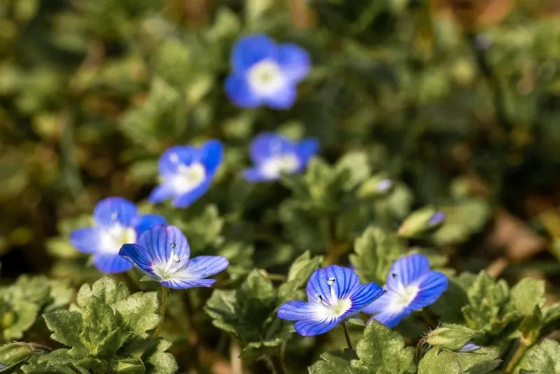心有山海花自开，
人若亲和暖阳来。
有容仍大心向善，
厚德载物天地宽。