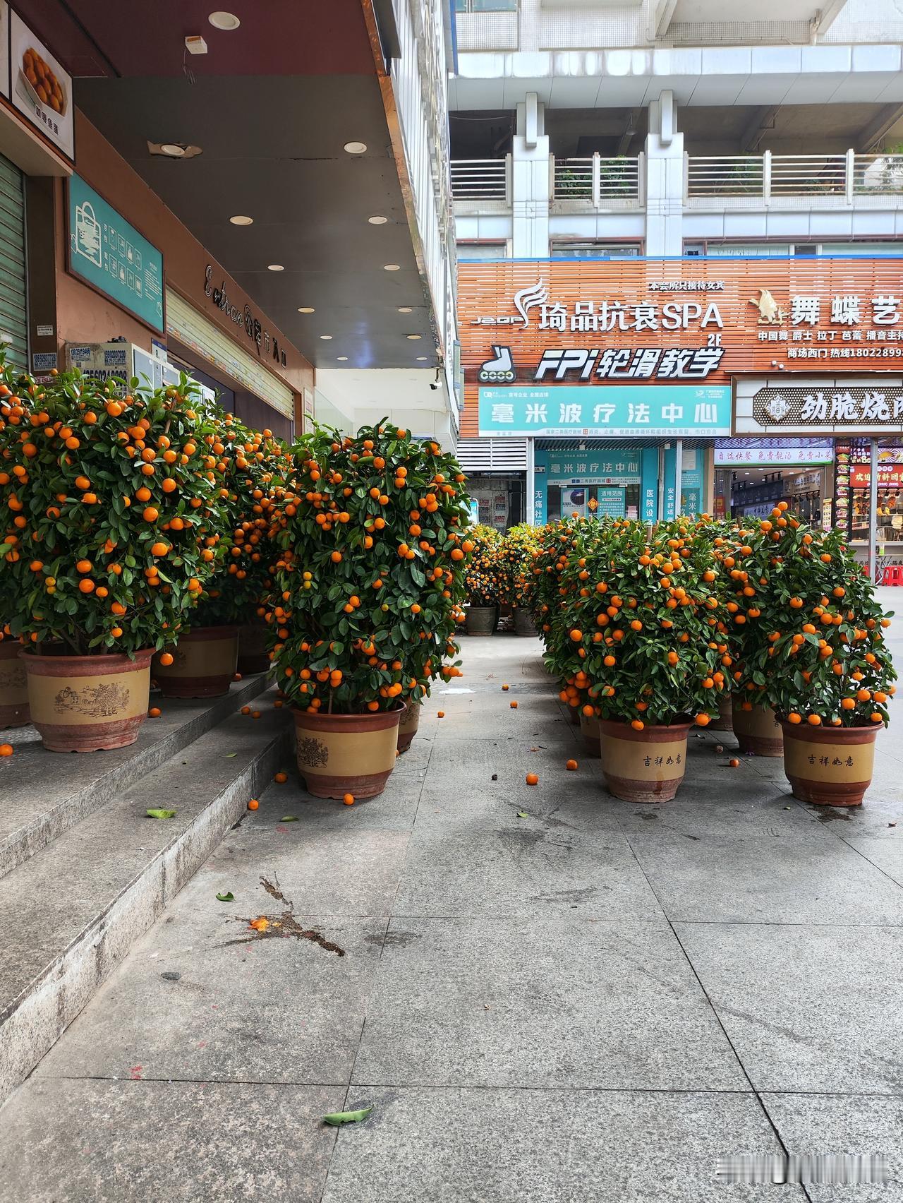 这个卖年桔老板，看他的样子可能亏很惨，连本钱都拿不回来，这个老板不会选择地点，选