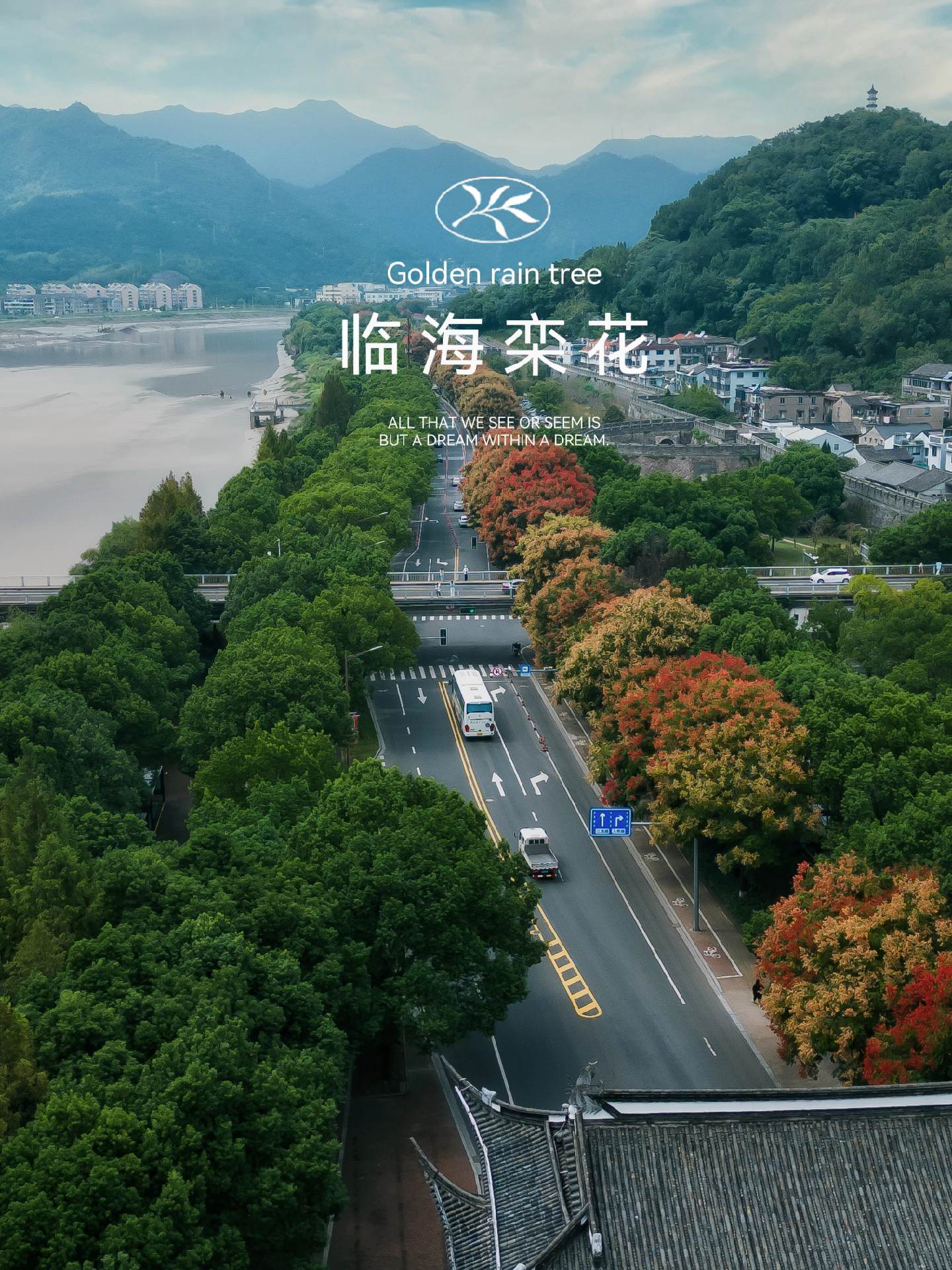 栾花 | 属于临海秋天的浪漫！开车路过临海的灵江一桥，发现桥上一堆人在...