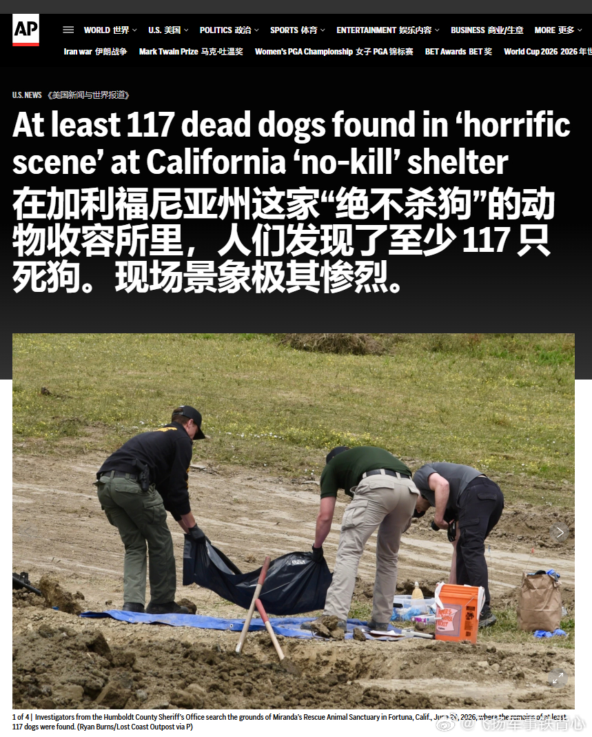 美国加州“零扑杀”动物收容所里发现至少117只狗的遗骸，许多身中枪伤——美国加利