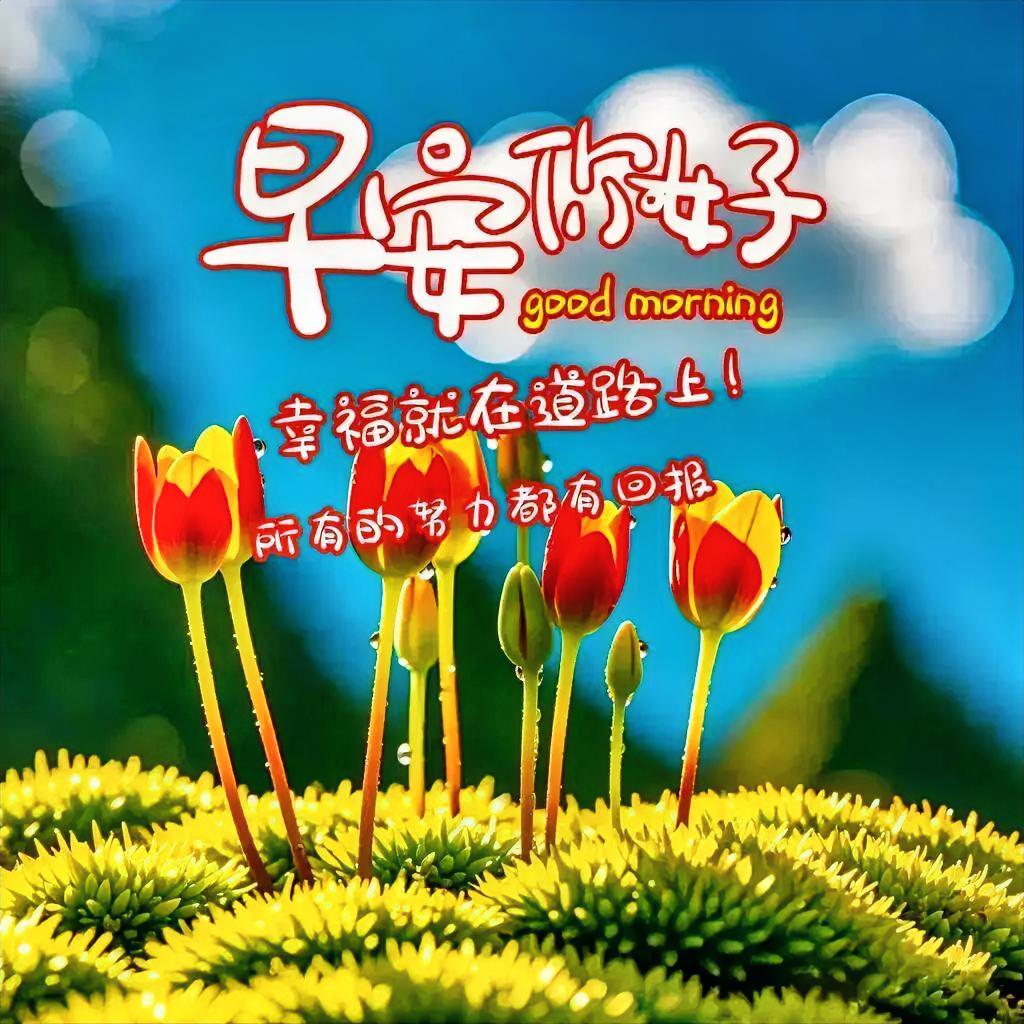 早安愉快！阳光洒落花丛，烦恼清零快乐满盈。愿你日子温柔万事皆甜！
晒图大赛